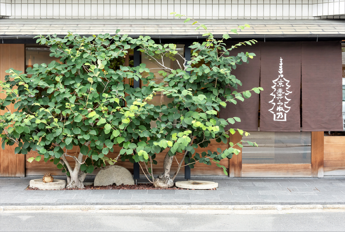 ワークショップのご案内