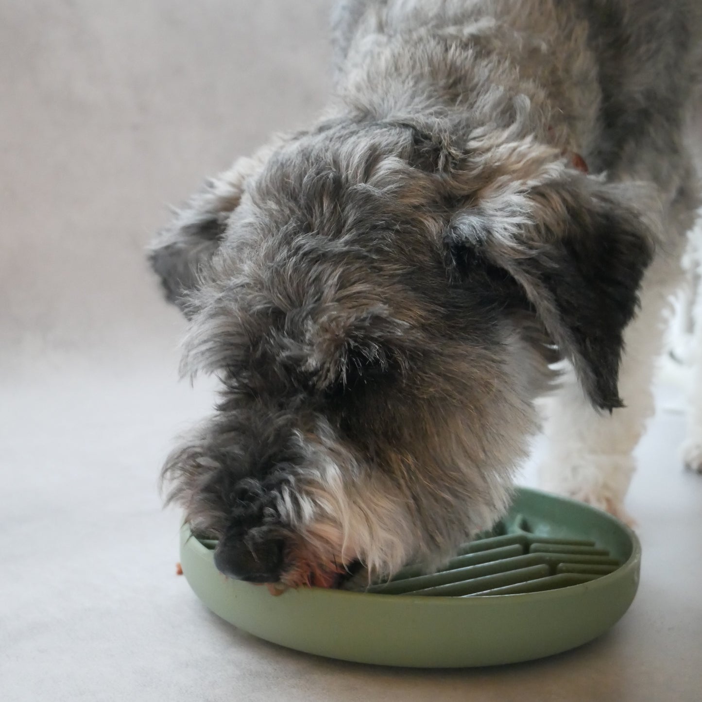 【ペット用食器】MELLOW BOWL