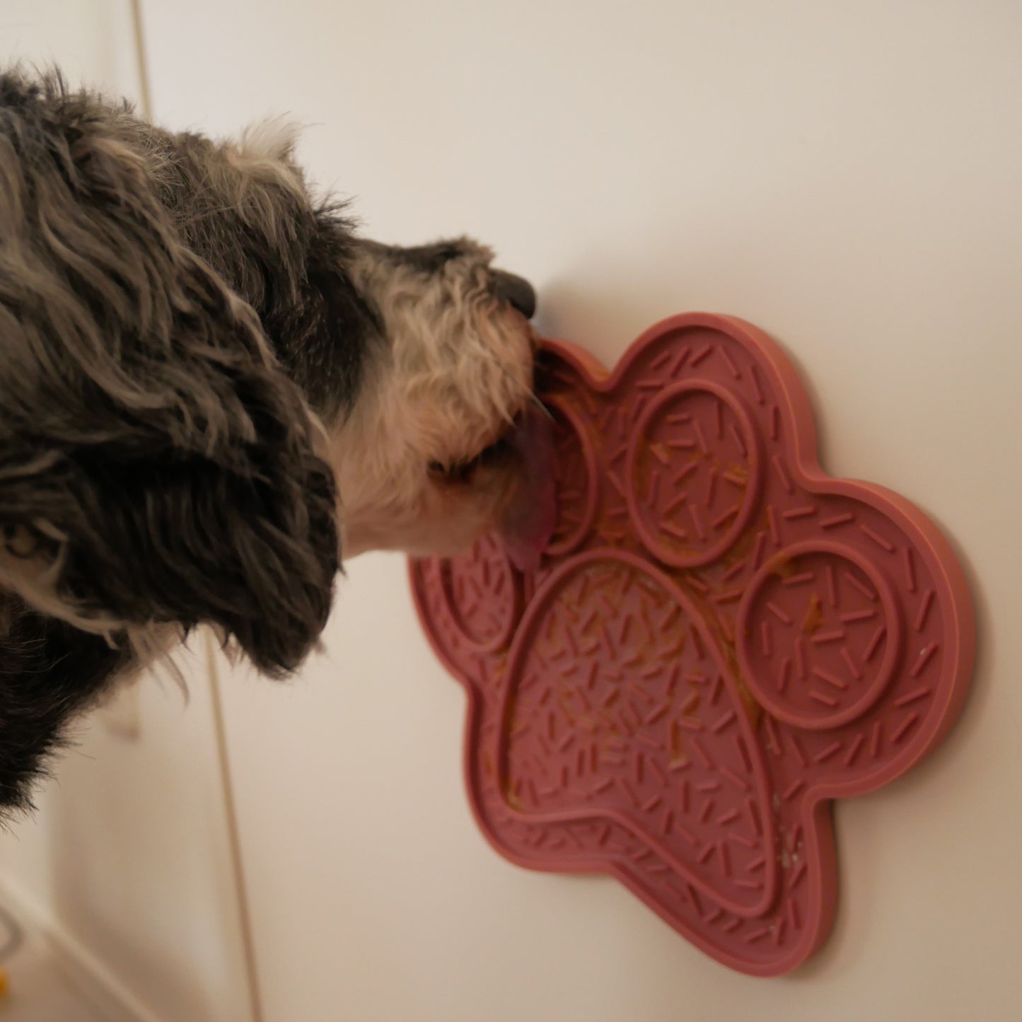 【ペット用食器】LICK MAT